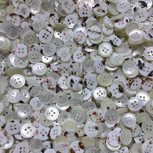 Seashell button