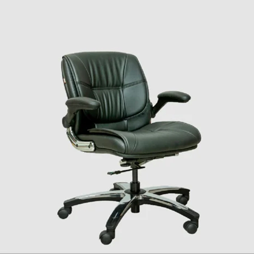 Gp 134 Medium Back Chair - Application: Office