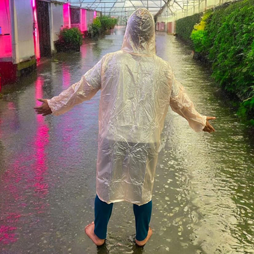 Rain Transparent Poncho
