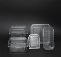 Blister Packaging Box - Finishing: Matte Lamination