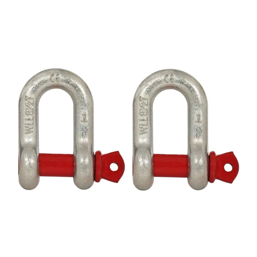 Alloy Steel D Shackle