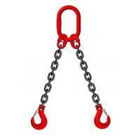 Heavy Duty Alloy Steel 2 Leg Chain Multi Leg Slings - Color: Black