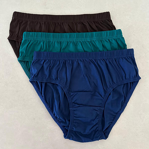 Ladies Plain Panty
