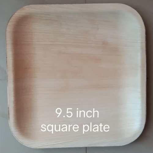 9.5 Inch Square Areca Leaf Plate