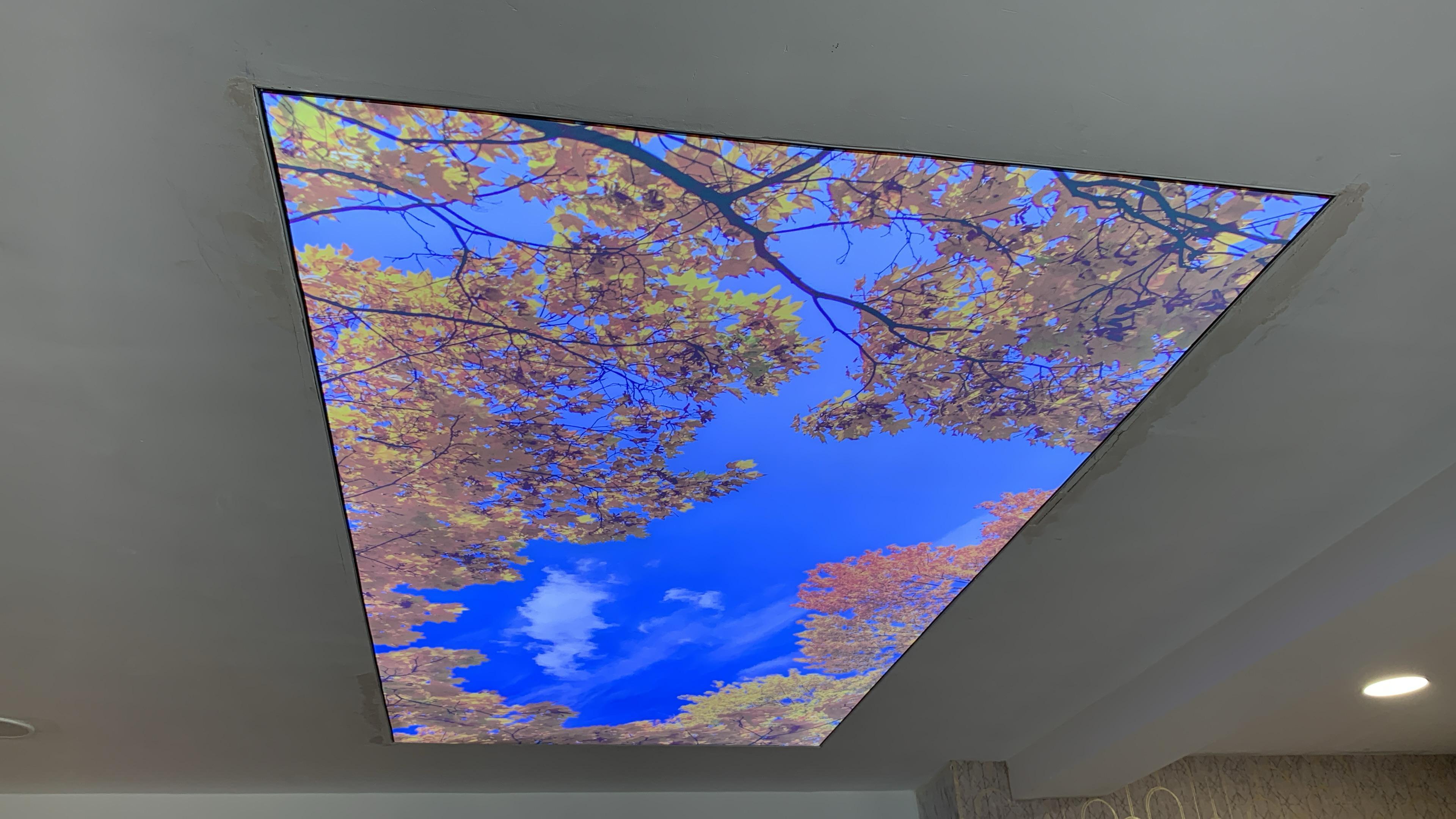 Nature-Inspired Stretch Ceiling