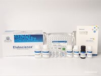 Monkeypox Virus (MPXV) IgG ELISA Kit