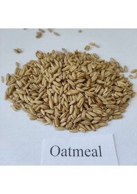Grain Oat