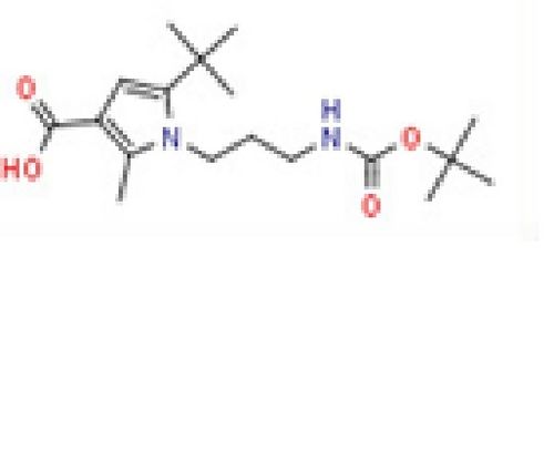 1-(3-Aminopropyl)-5-tert-butyl-2-methylpyrrole-3-carboxylic acid