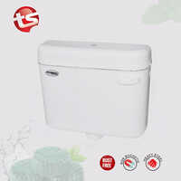 Platina Slim Side Push Pvc Flushing Cistern - Installation Type: Wall Mounted