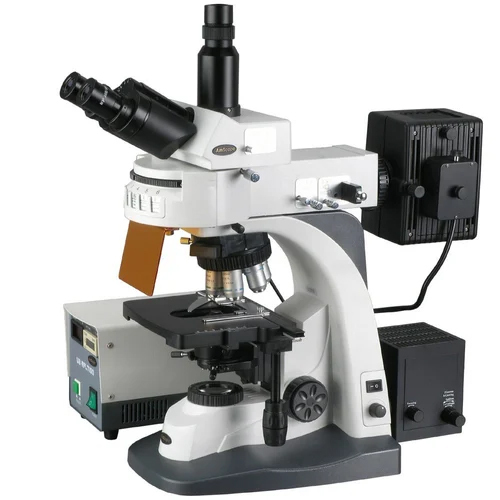 Fluorescence Microscope