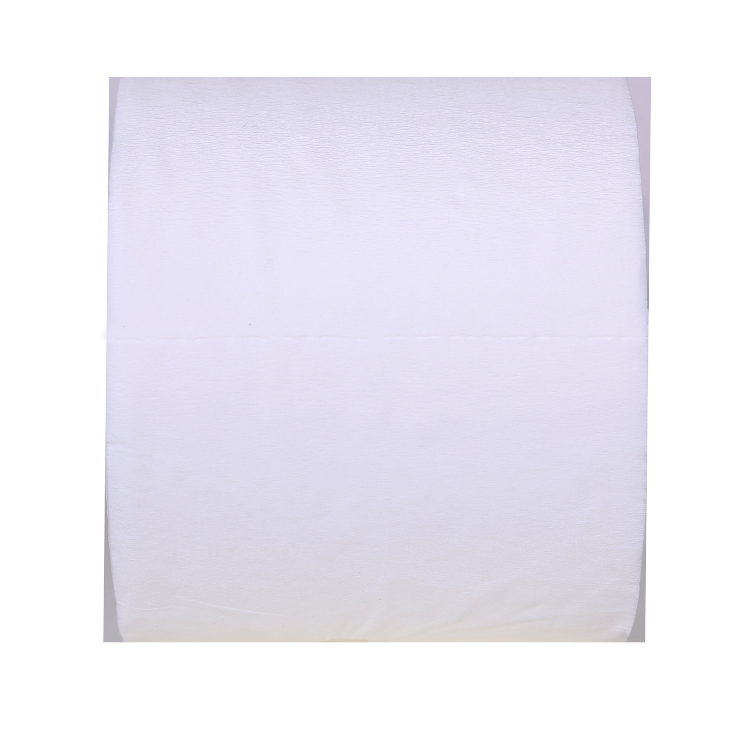 Toilet Tissue Rolls