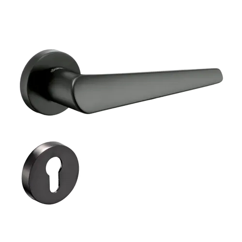 Celisa Door Handle