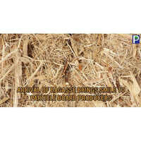 17mm Plain Particle Board