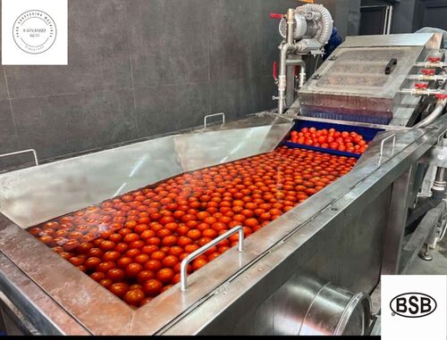 Fruit vegetable washer