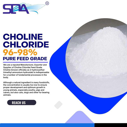 Premix Chol Concentrated Powder Base 96-98% Pure Feed Grade