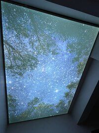 Basement Stretch Ceilings