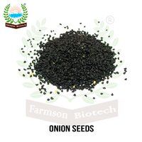 Onion Seeds FB-Red 11