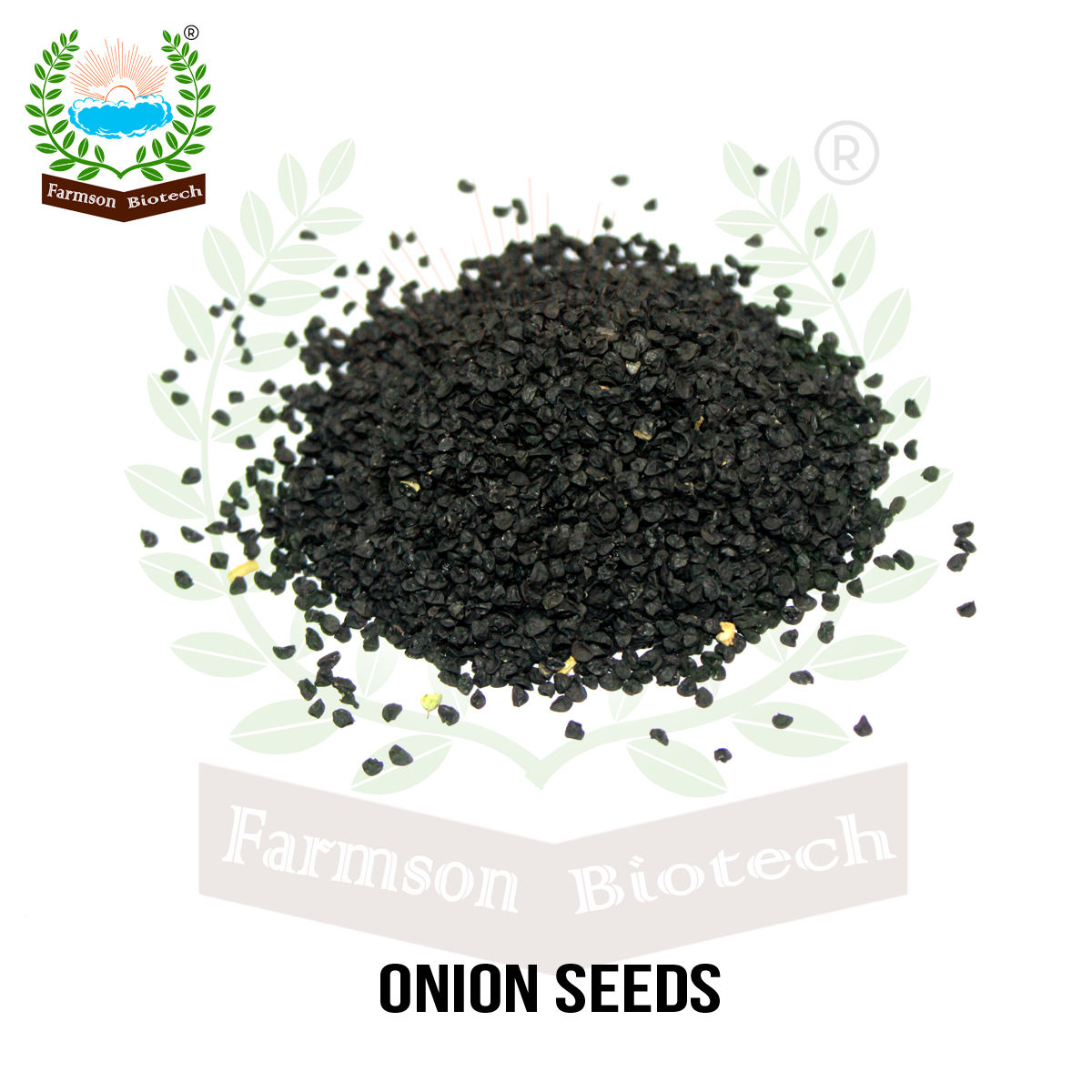 Onion Seeds FB-1153