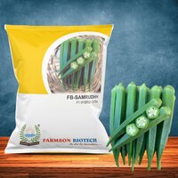 Okra Seeds FB-Samruddh F1 Hybrid