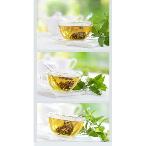 Green Tea Extract