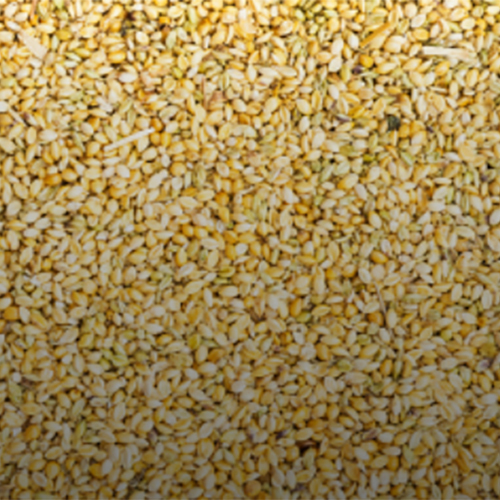 Foxtail Millet (Kangni)