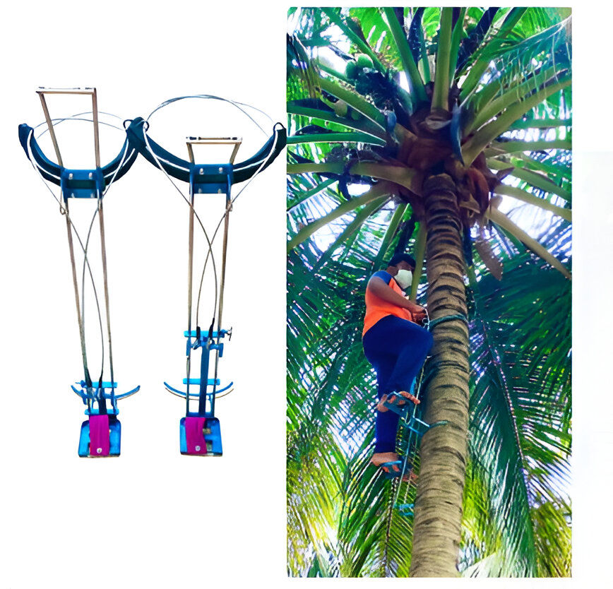 Coconut and Palm Tree Climber machine with 150 kg weighing capacity with Full body safety belt