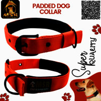 Padded Dog Collar ( PP / NYLON )