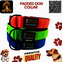 Padded Dog Collar ( PP / NYLON )