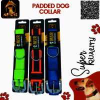 Padded Dog Collar ( PP / NYLON )