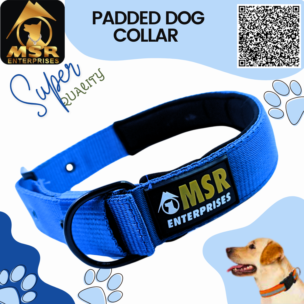 Padded Dog Collar ( PP / NYLON )