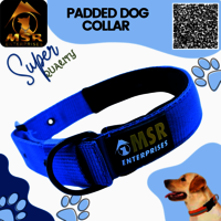 Padded Dog Collar ( PP / NYLON )