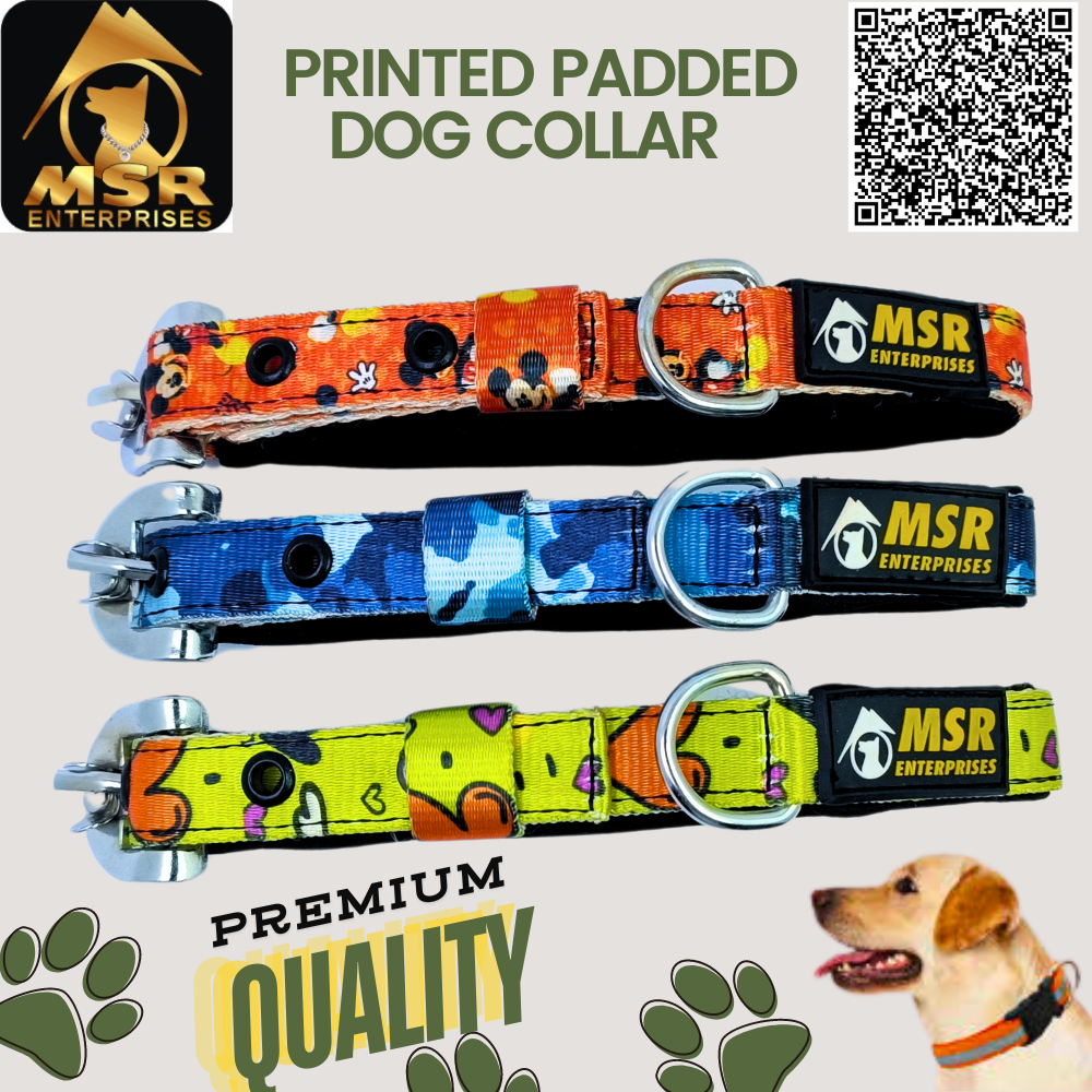 Printed Padded Dog Collar with SR Clip / Export Buckle