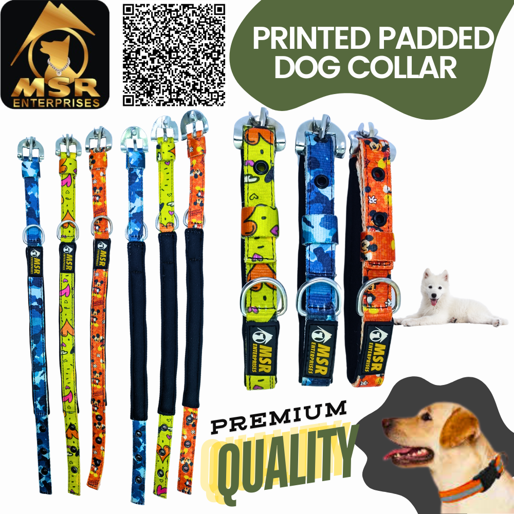 Printed Padded Dog Collar with SR Clip / Export Buckle