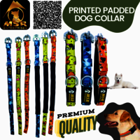 Printed Padded Dog Collar with SR Clip / Export Buckle