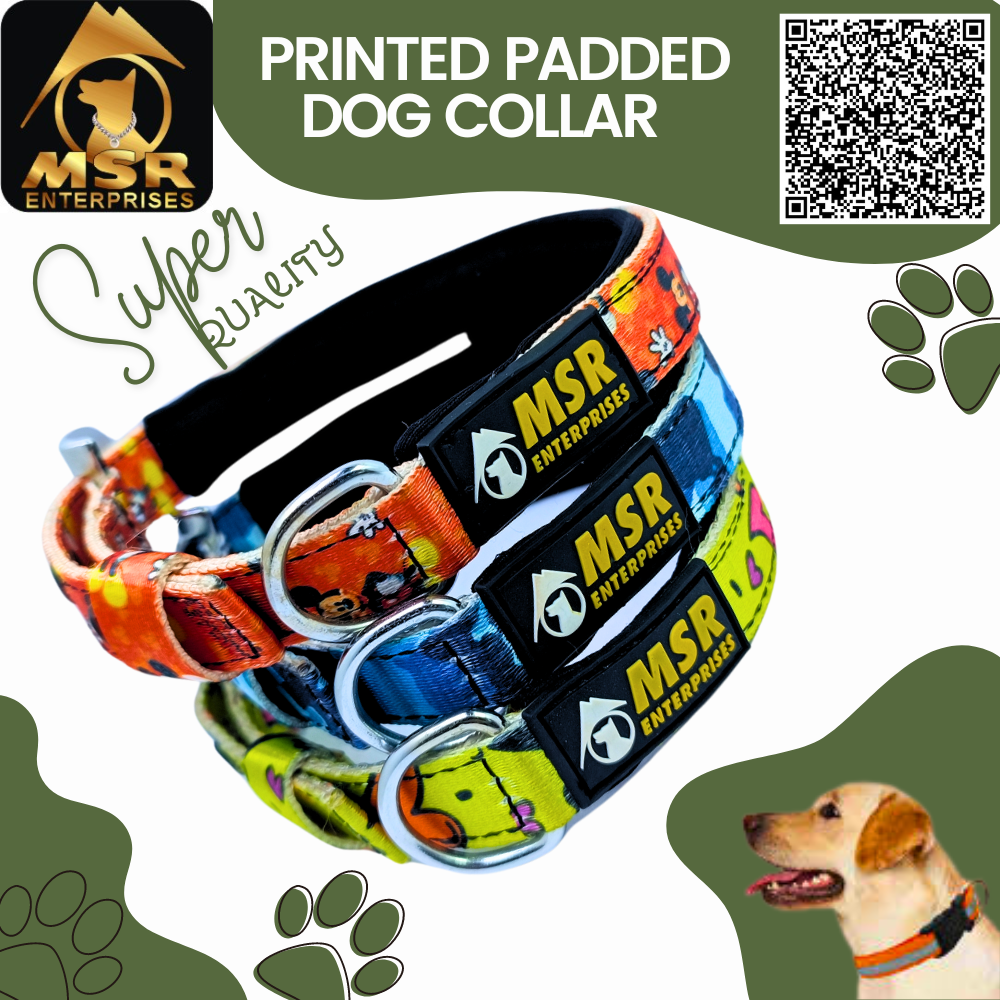 Printed Padded Dog Collar with SR Clip / Export Buckle