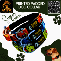 Printed Padded Dog Collar with SR Clip / Export Buckle