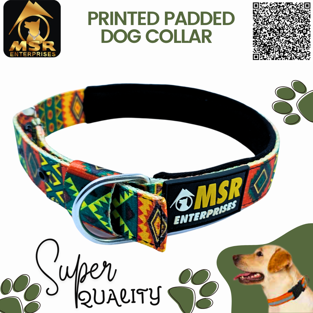 Printed Padded Dog Collar with SR Clip / Export Buckle