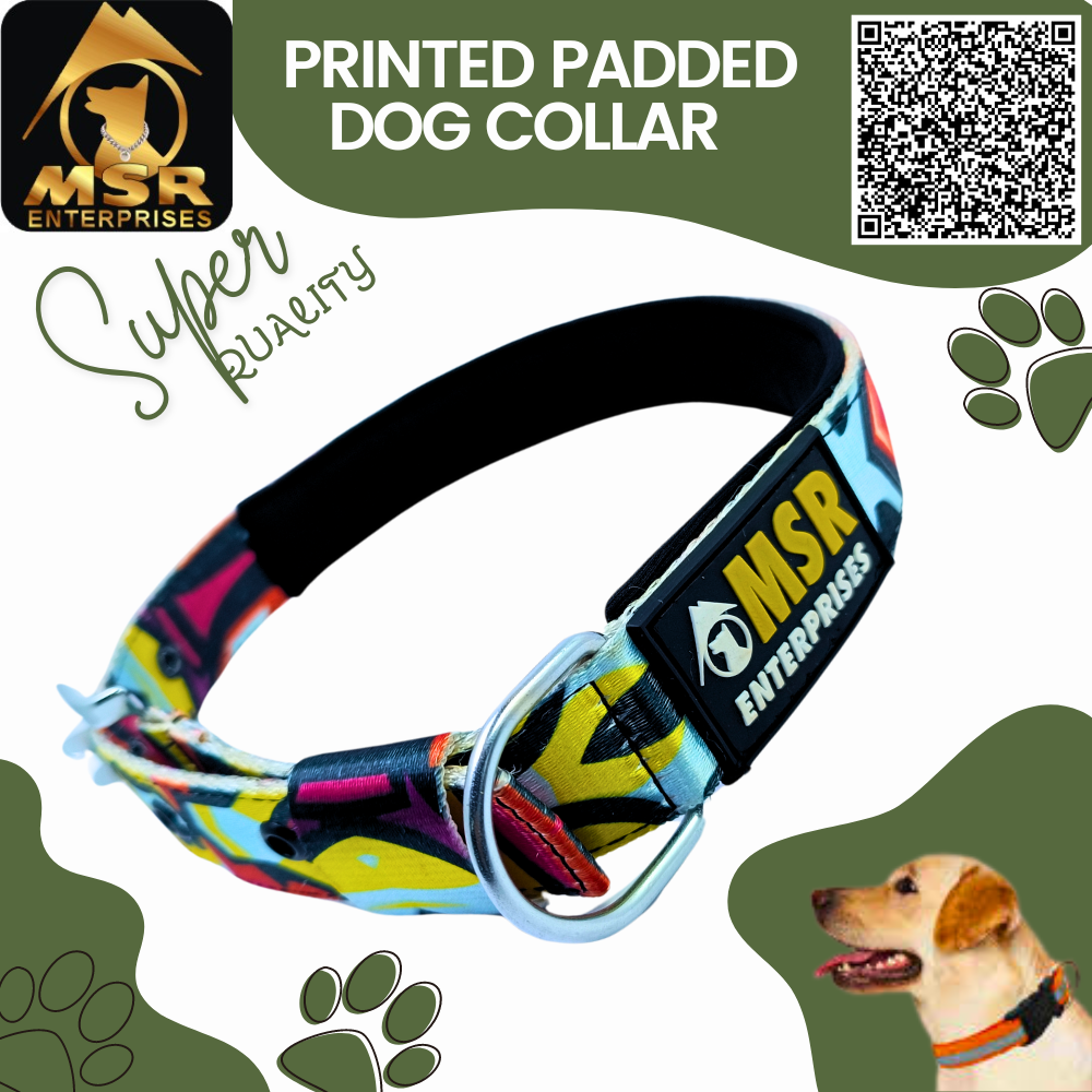 Printed Padded Dog Collar with SR Clip / Export Buckle