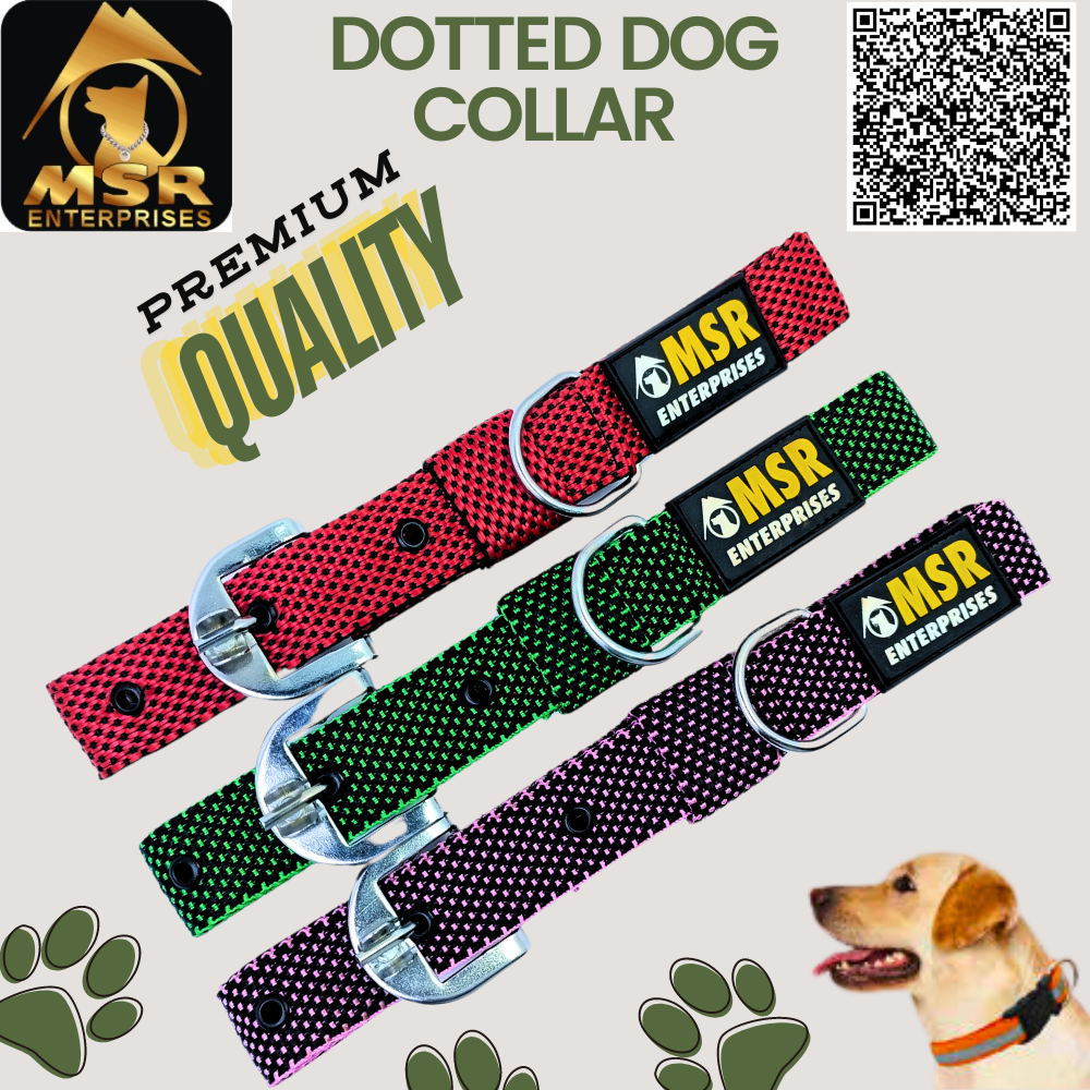 Dotted Dog Collar with SR Clip / Buckle