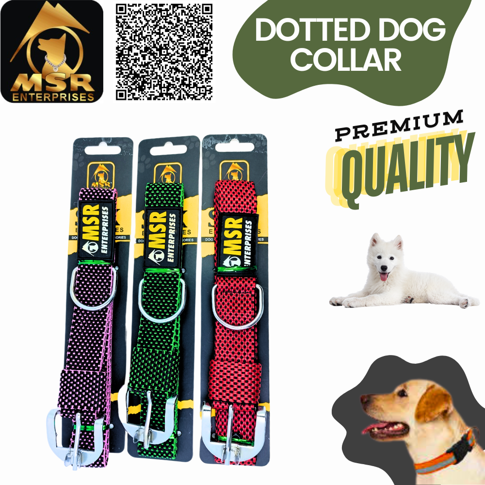 Dog Collar  Dotted