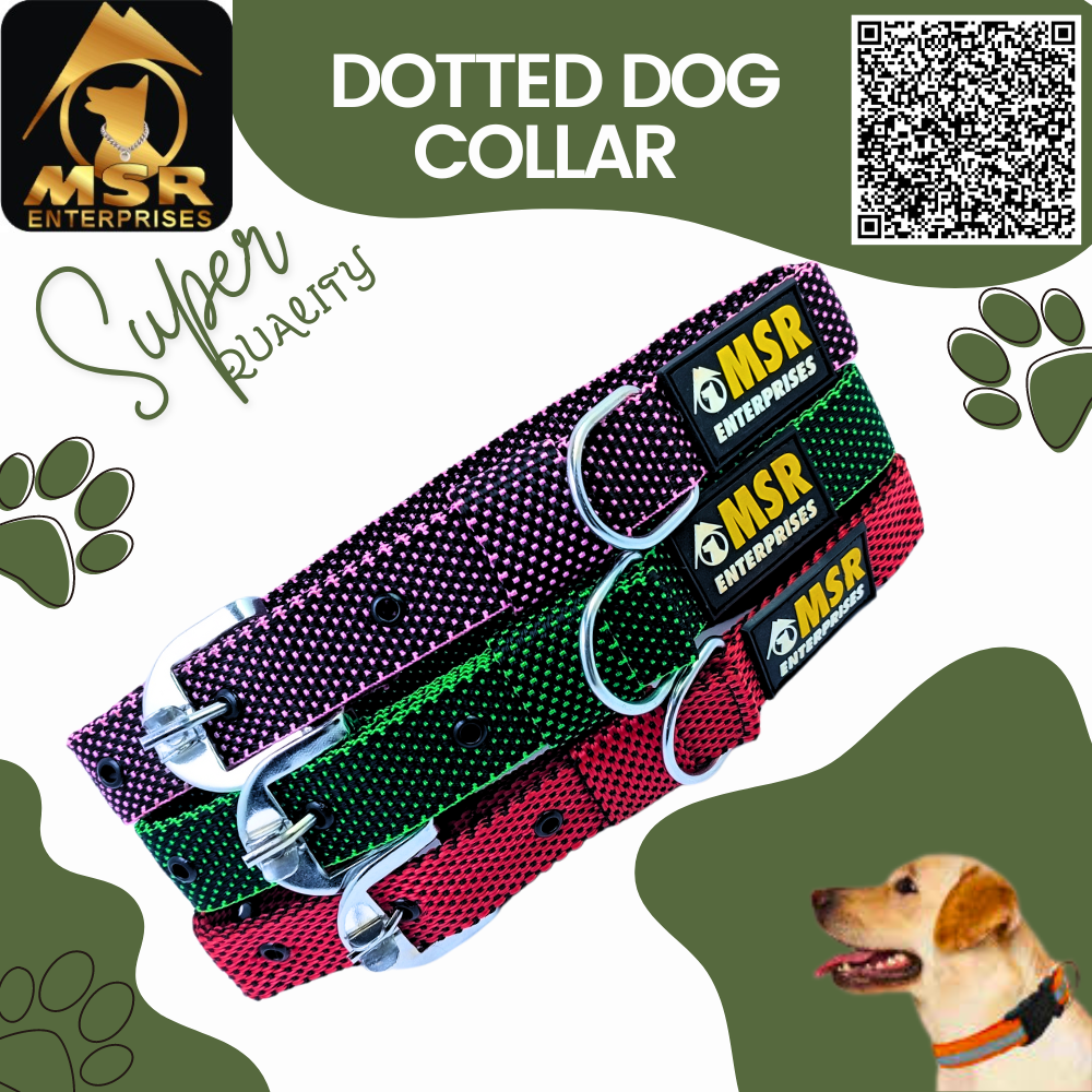 Dotted Dog Collar with SR Clip / Buckle