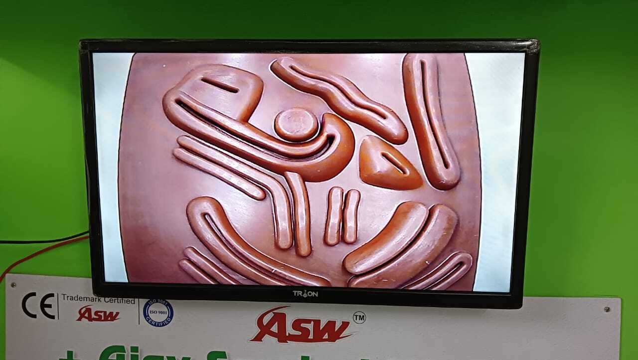 Laparoscopic Virtual / Acrylic Endotrainer Set