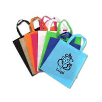 Flexo Printed Plastic Bag - Polypropylene, 22x34 Inches, Various Colors | Embossed Surface, Flexiloop Handle, Offset Printing