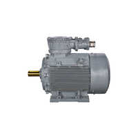 Hazardous Area Motor New