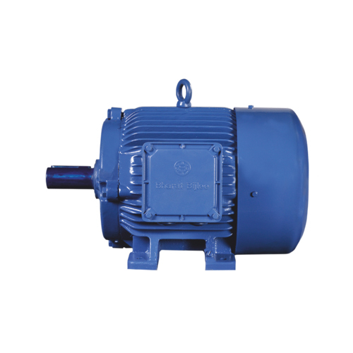 Changed Standard Motor