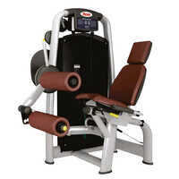 Seated Leg Curl - Grade: Commercial Use