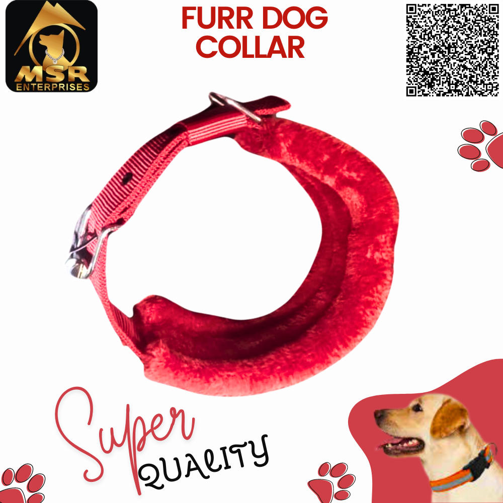 Double Layer Furr Dog Buckle Collar (PP / Nylon)