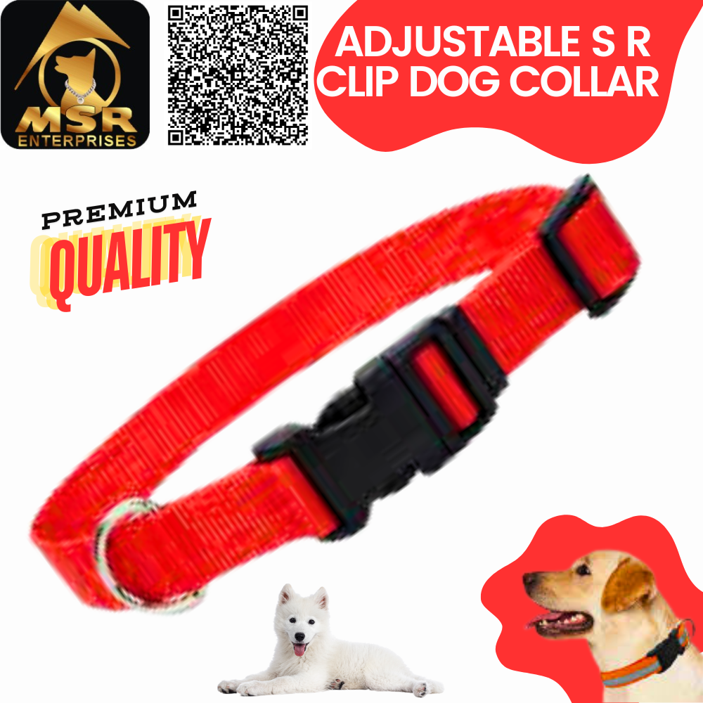 Double Layer Dog Adjustable SR Clip Collar PP / NYLON