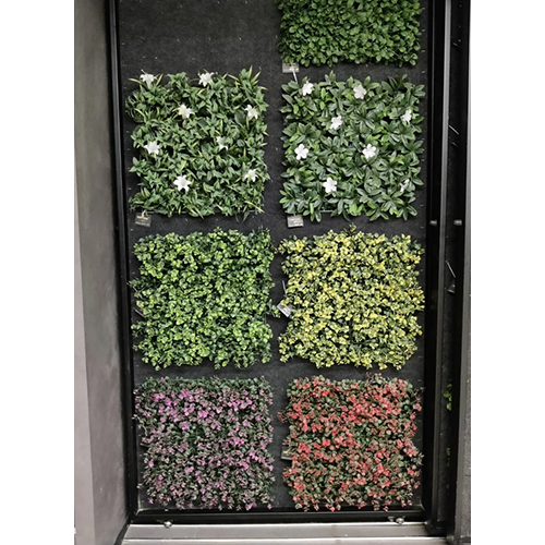 Artificial Grass Wall