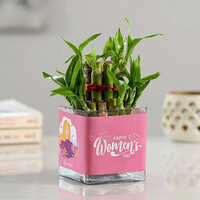 Womens Day Gift - Color: Multi Colour